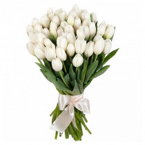Bouquet of 25 white tulips