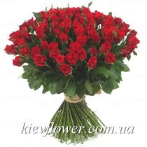 Special offer - 101 red roses